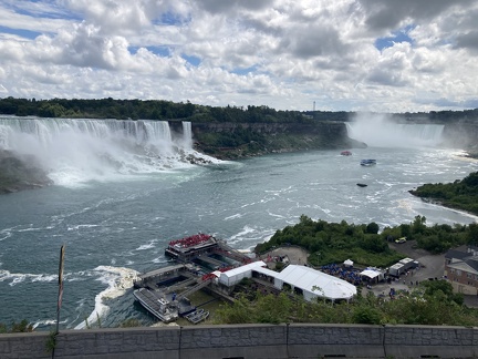 IMG 3520